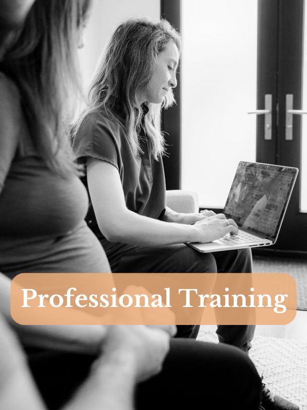 Professional Training at Your Downtown Doula